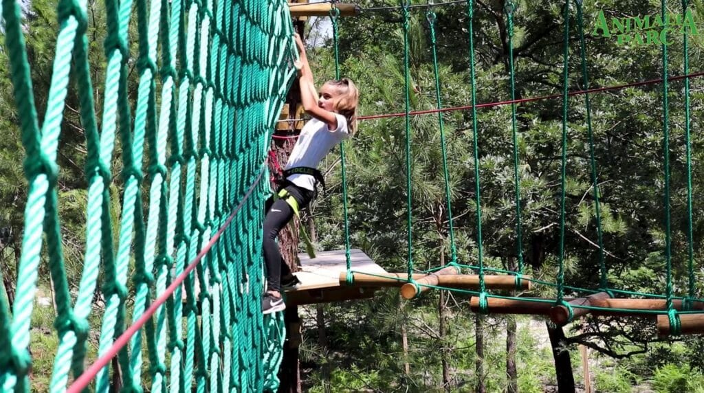 animalia-parc-accrobranche-bordeaux