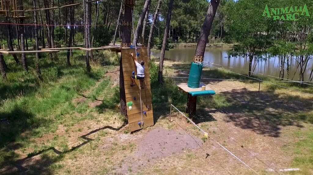 animalia-parc-age-minimum-accrobranche