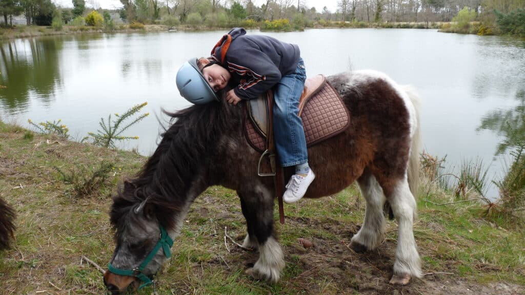 Animalia-parc-balade-poney