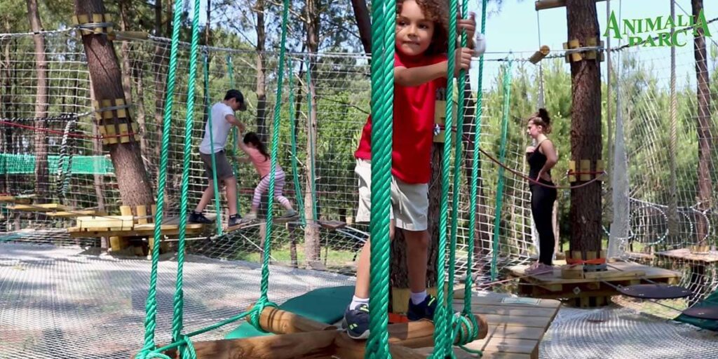 les-services-du-parc-animalia-bordeaux