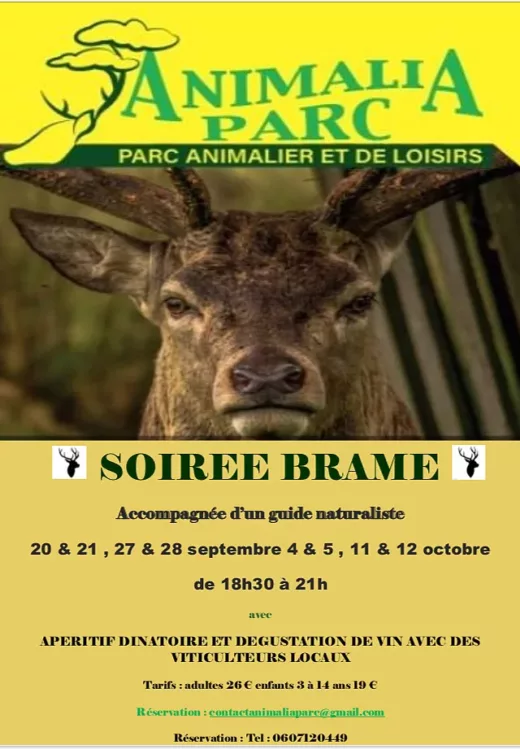Soir&#x00E9;e&#x20;Brame&#x20;2021