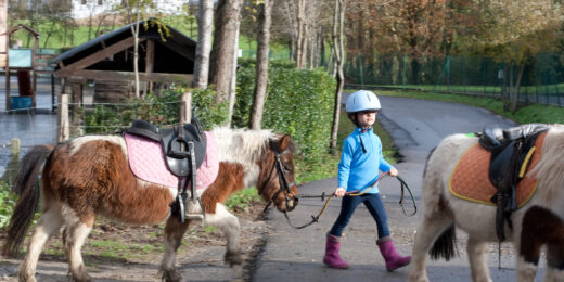 Balade à poney en Aquitaine (33) près de Bordeaux, Royan, Arcachon