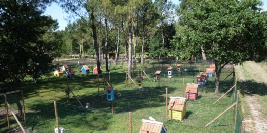 visite-parc-animalia-bordeaux
