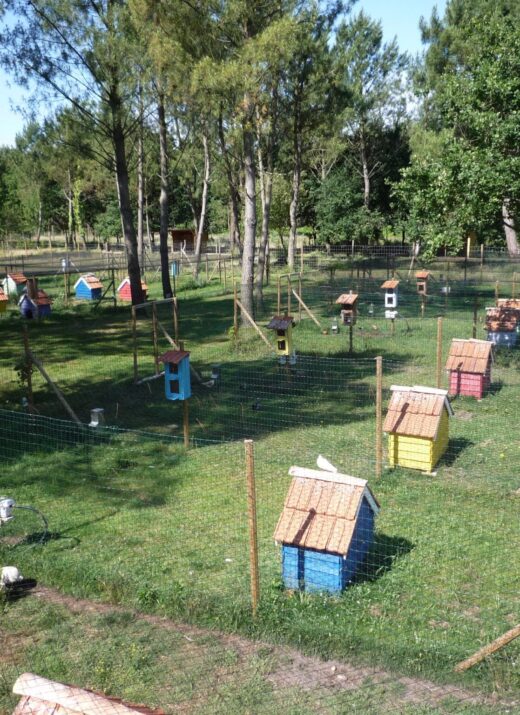 visite-parc-animalia-bordeaux
