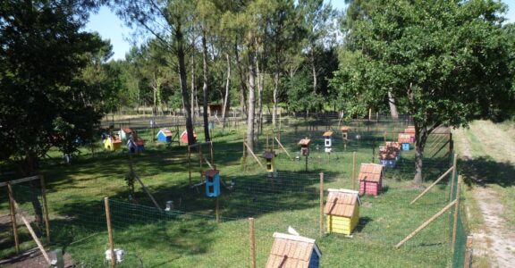 visite-parc-animalia-bordeaux