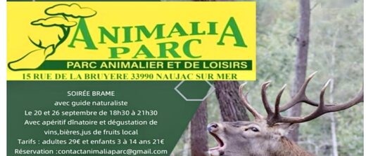 Soirée Brame du Cerf à Animalia Parc