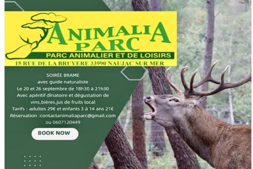 Soirée Brame du Cerf à Animalia Parc