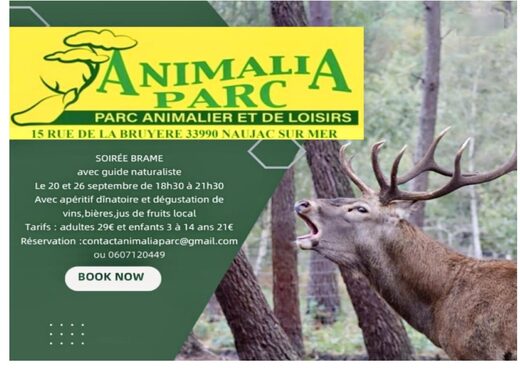 Soir&#x00E9;e&#x20;Brame&#x20;du&#x20;Cerf&#x20;&#x00E0;&#x20;Animalia&#x20;Parc
