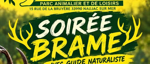 &#x00C9;couter&#x20;le&#x20;brame&#x20;du&#x20;cerf&#x20;dans&#x20;le&#x20;M&#x00E9;doc&#x20;sans&#x20;le&#x20;d&#x00E9;ranger